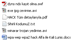 Ekran Alıntısı.PNG
